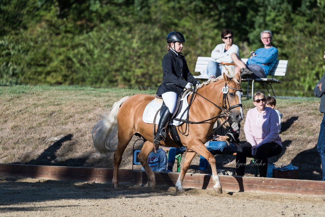 Bild 43 - Pony Akademie Turnier